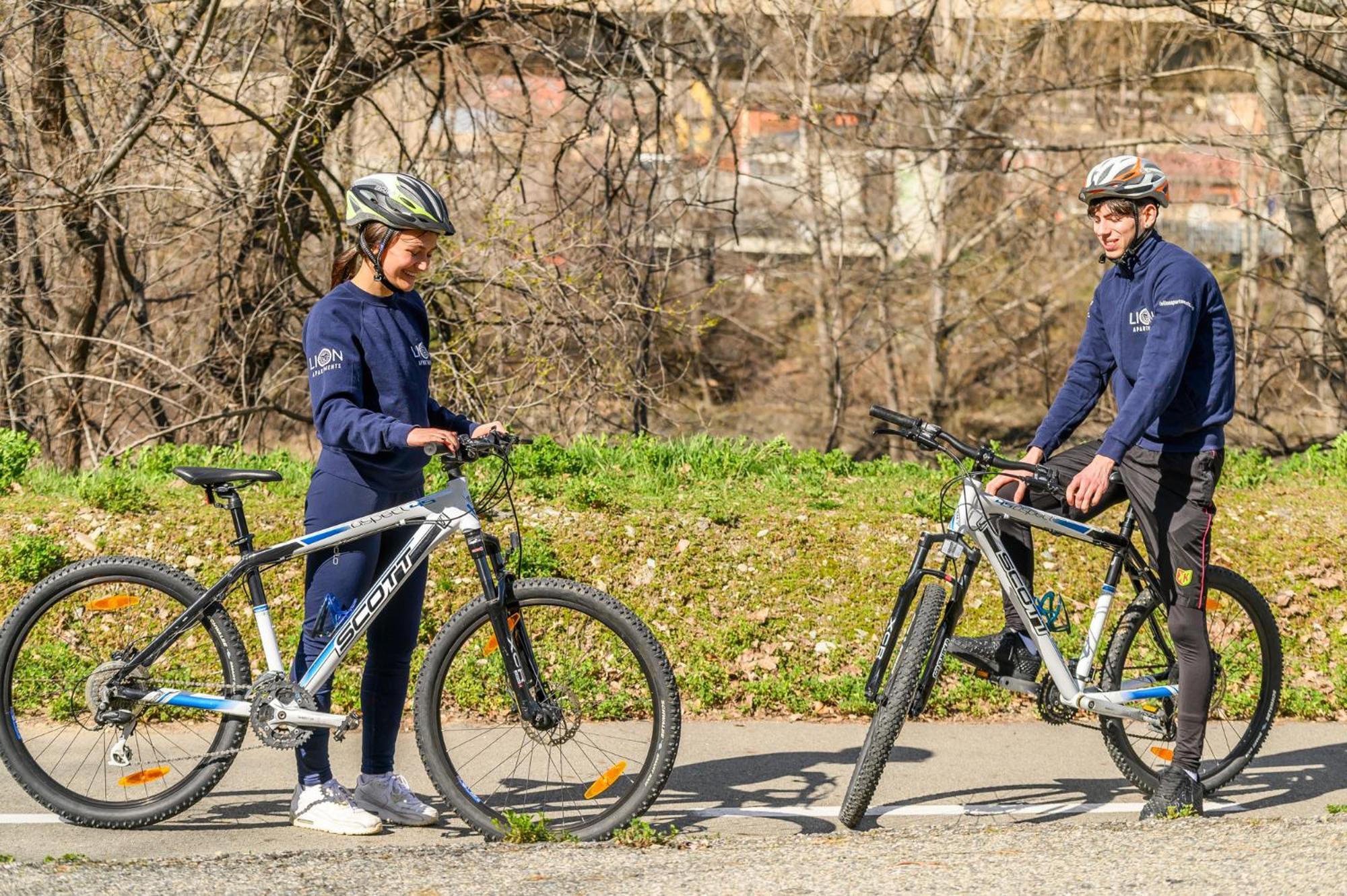 Le Lion Apartments - Bike & Ski Аоста Екстер'єр фото