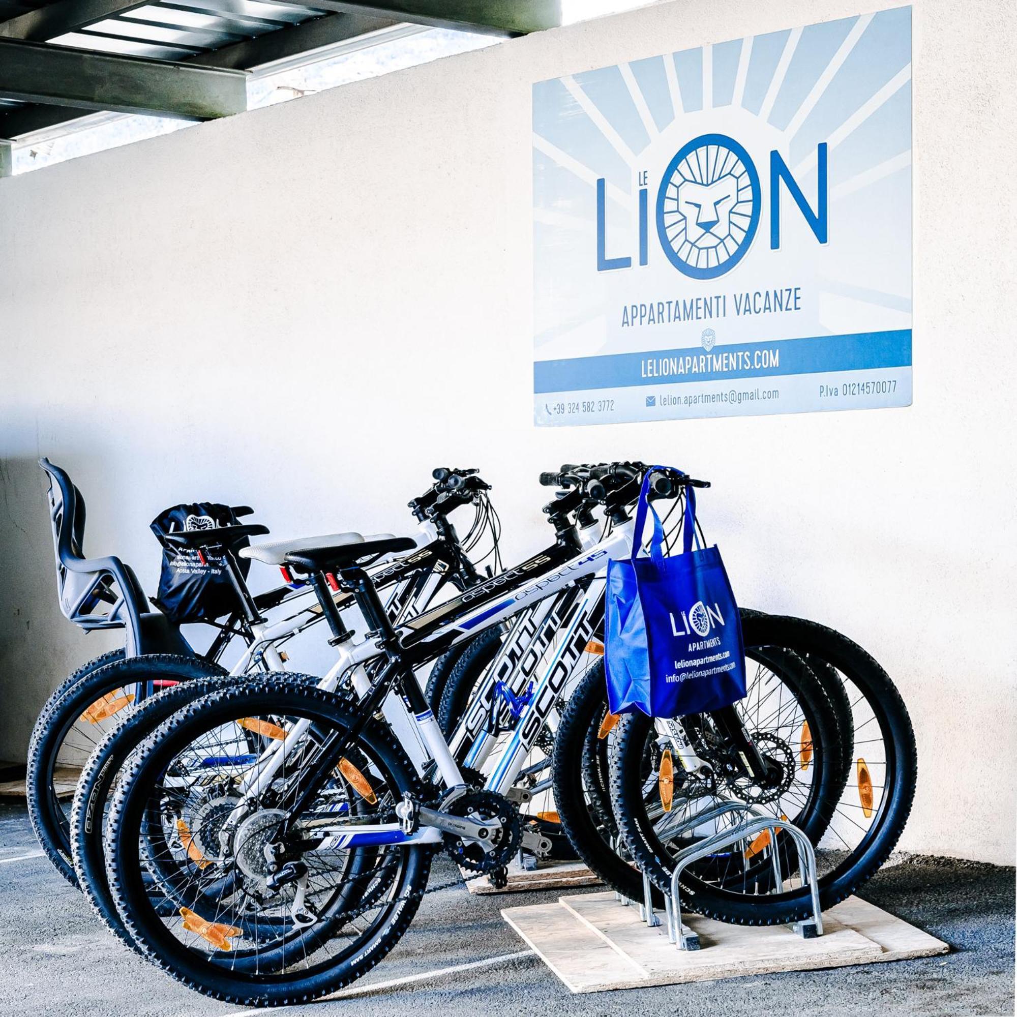 Le Lion Apartments - Bike & Ski Аоста Екстер'єр фото